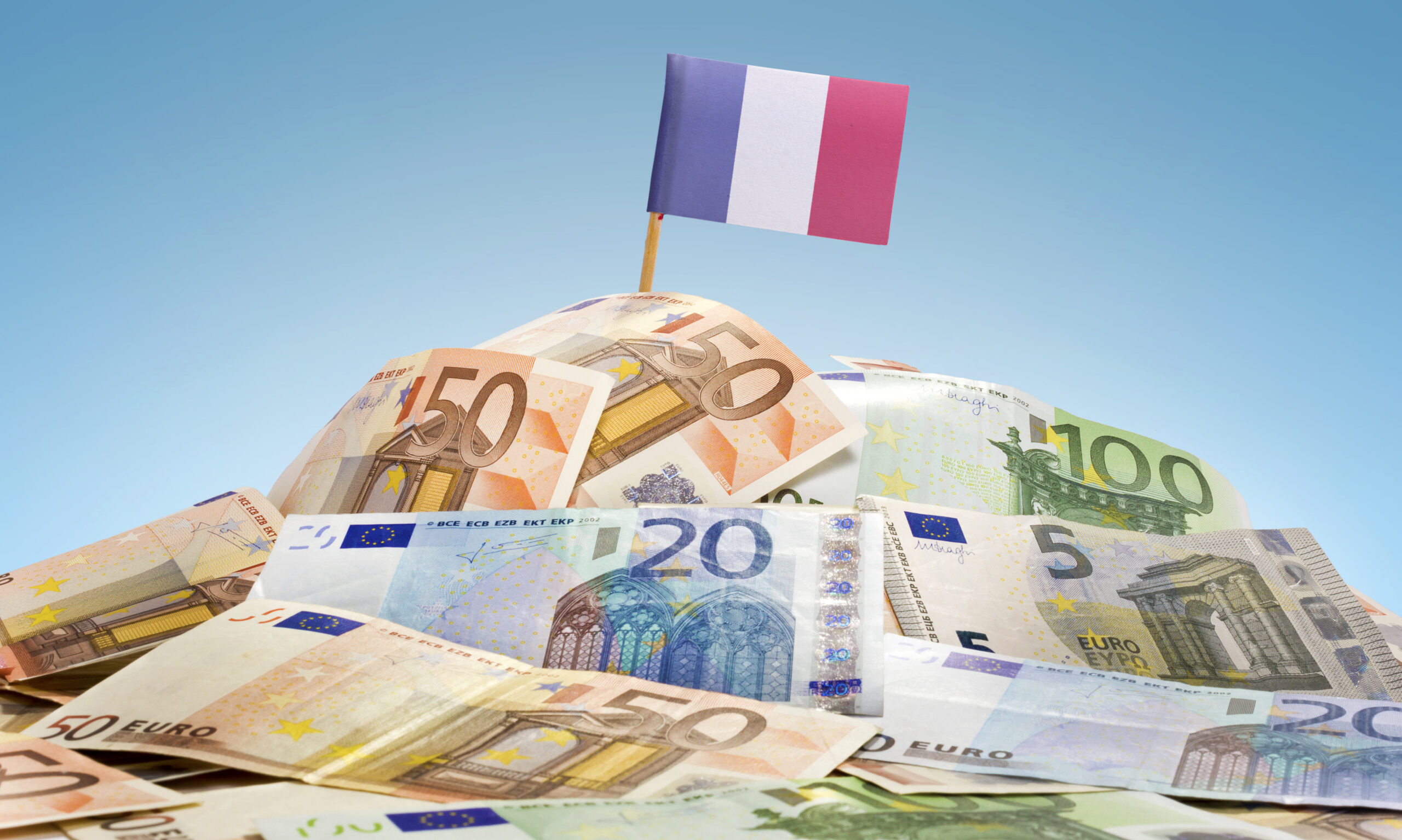 フランス　投資
