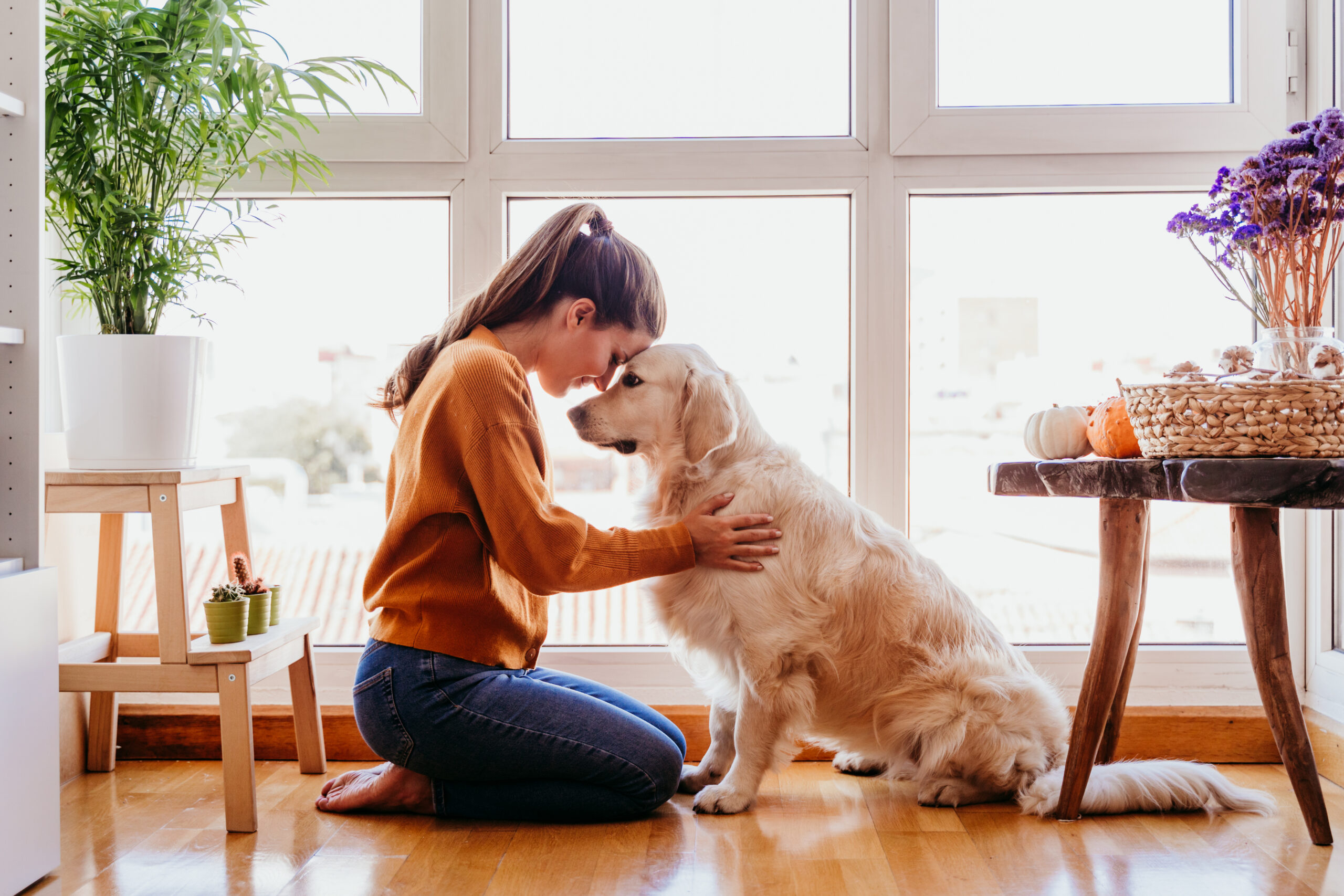 ペット　女性と犬