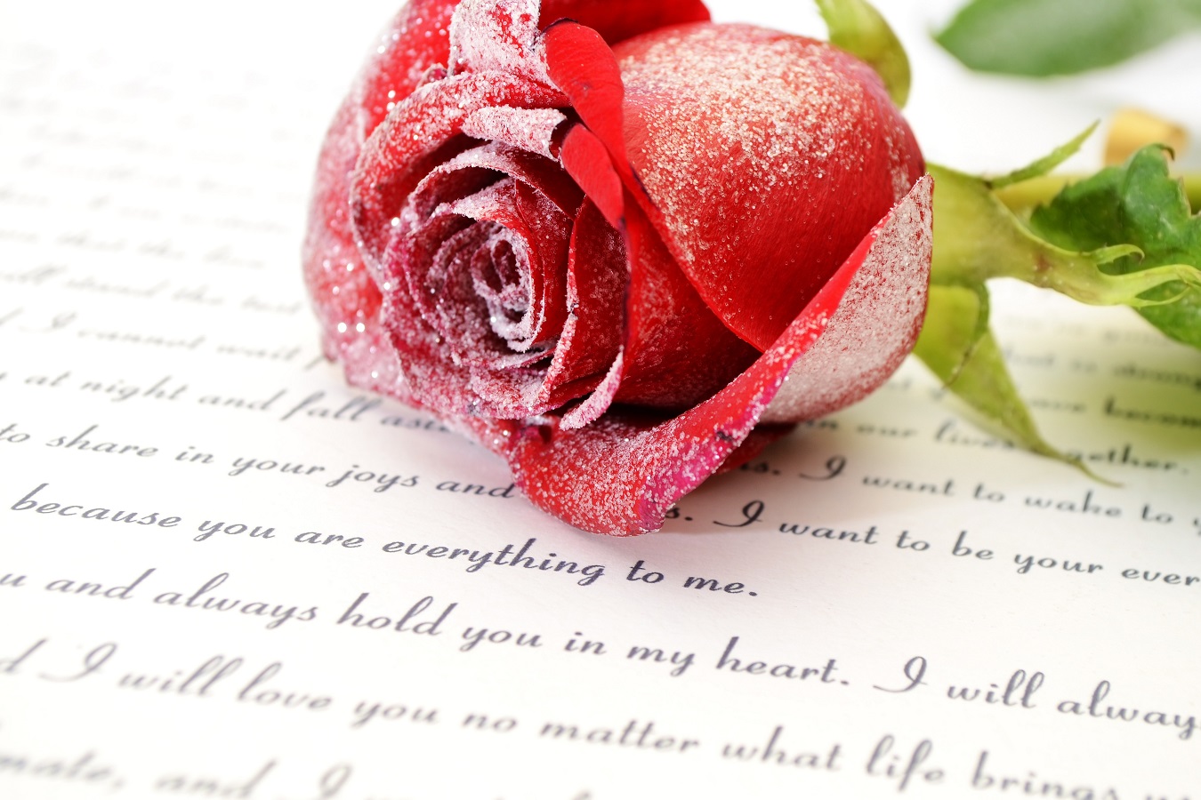 Red rose on love letter