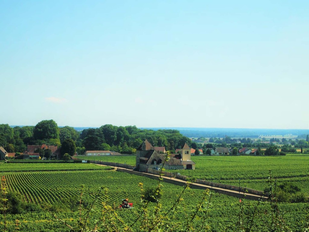 フランスワイン巡り ブルゴーニュワインの特徴とおすすめをご紹介 France 365 最新のフランス旅行情報 現地情報