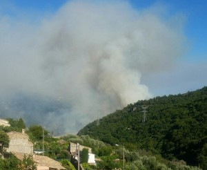 南仏各地で大規模な山火事　負傷者多数