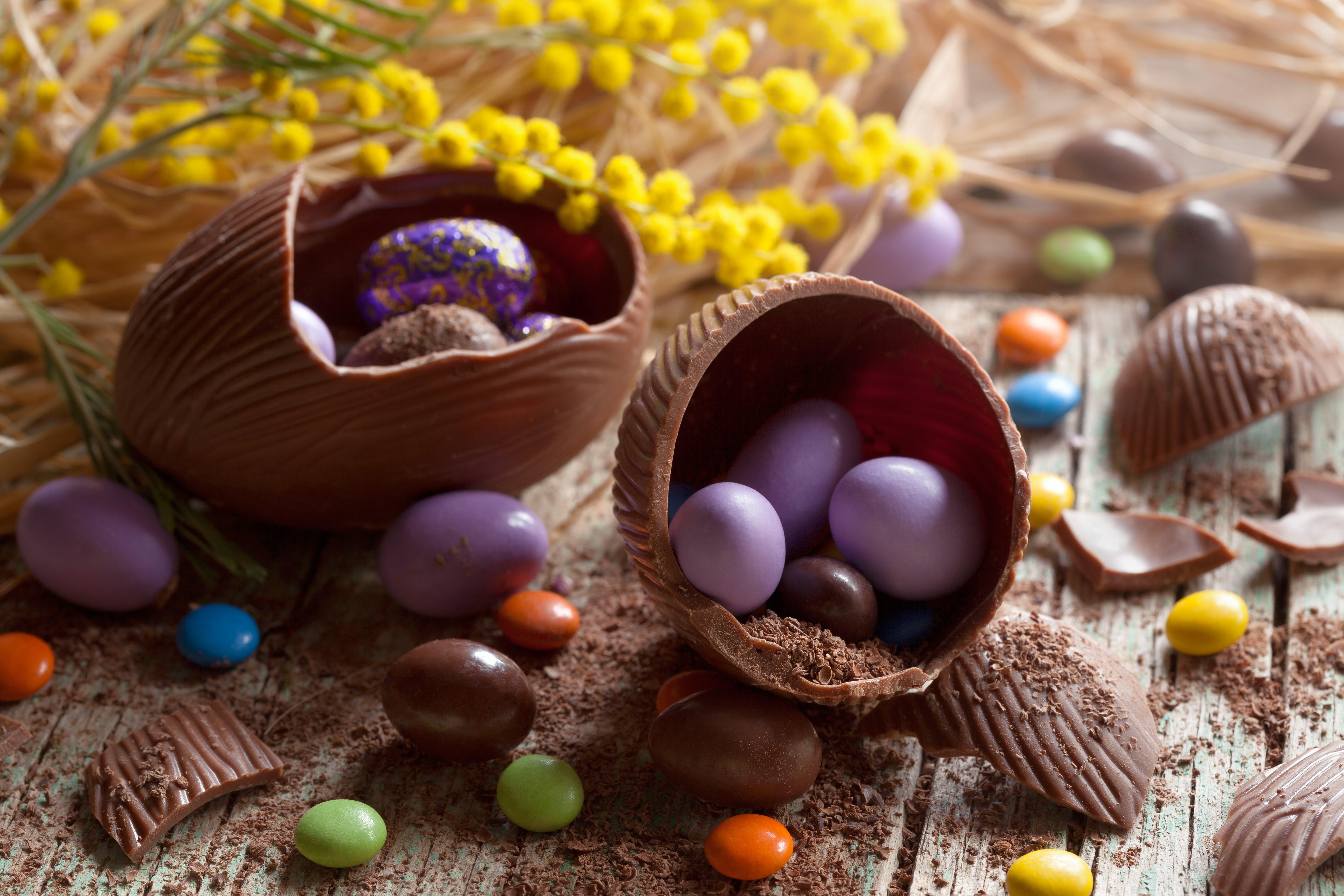 新品未使用品 フランス テーブルクロス うさぎ Pâques イースター 新品