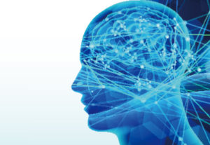 パリの脳科学研究チーム、記憶の書き換えに成功　トラウマ治療に有効か
