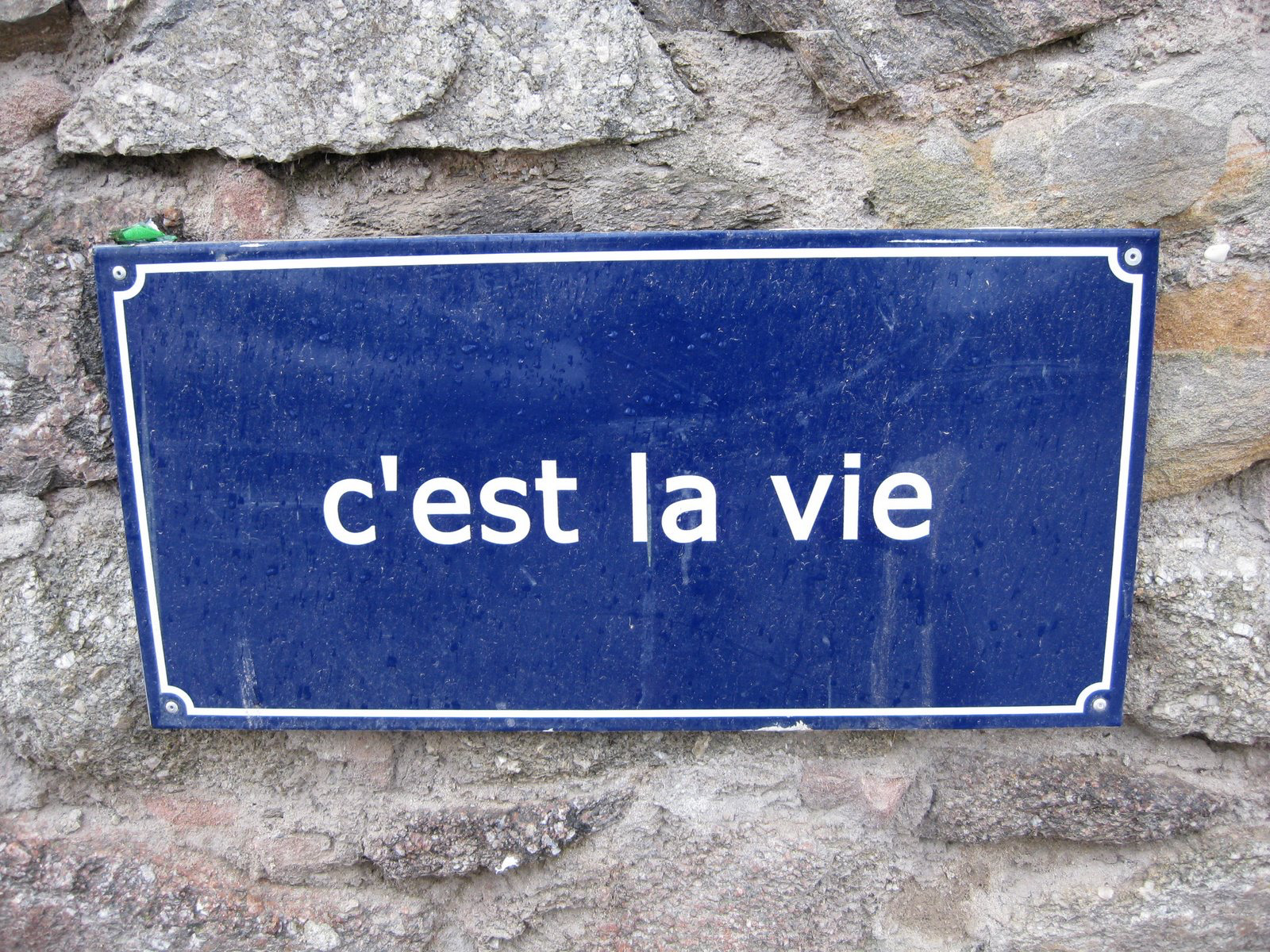 フランスことわざ名言辞典 (&lt;テキスト&gt;)  w フランス語ことわざ用法辞典 - メルカリ