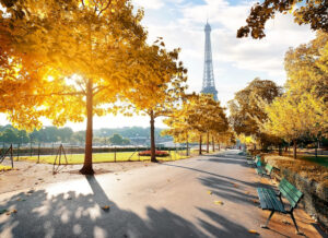 パリの街に「都会の森」がお目見え　第一弾はモンパルナス地区　