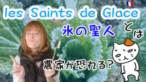 Vol.522　農家が恐れる「氷の聖人 les Saints de Glace 」とは？　楽しく学ぶフランス語