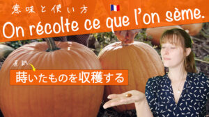 Vol.548　「On récolte ce que l’on sème. （蒔いたものを収穫する）」という表現の使い方　楽しく学ぶフランス語