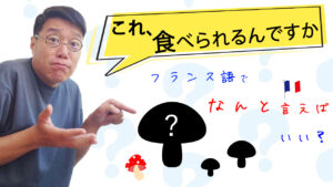 Vol.547　「これ、食べられるんですか」をフランス語でなんと言えばいい？　楽しく学ぶフランス語