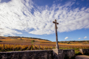 Bourgogne ブルゴーニュ｜ピノ・ノワールが語る、修道士の思いと時の重なり