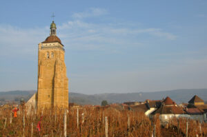 フランス・ジュラ地方（Jura ）とワイン｜山間で育まれる黄金の輝き