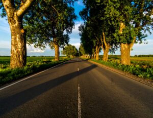 フランスの中にある「空虚の対角線」とは？作家シルヴァン・テッソンの視点