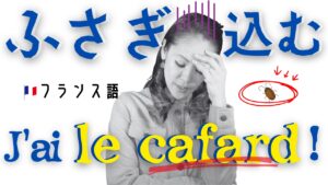 Vol.605　落ち込んだ時のフランス語「J’ai le cafard !」ってどういう意味？｜楽しく学ぶフランス語