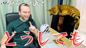Vol.627　「どうしても！」フランス語🇫🇷でなんと言うでしょうか｜楽しく学ぶフランス語